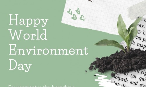 3 Best Tips To Save Our Environment
