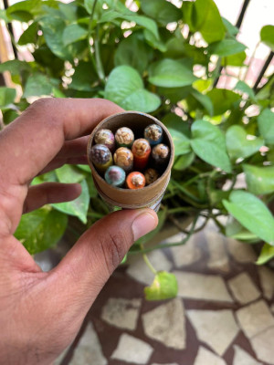 NatureBricks Crayons - 10 Colors with Embedded Plantable Seeds