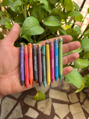 NatureBricks Crayons - 10 Colors with Embedded Plantable Seeds