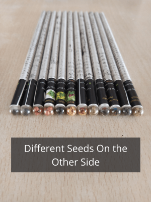 Recycled Paper Color Pencil With Plantable Seeds: 12 Colors Set