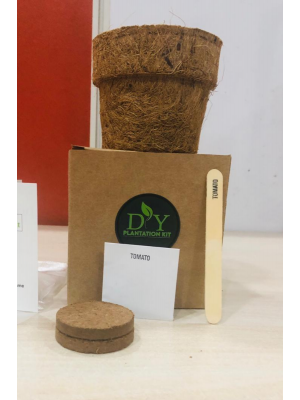 DIY Plantation kit Size 4 Inches