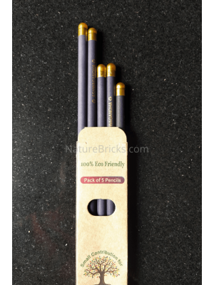 Black Color Seed Pencil With Golden Cap Premium : Pack of 5