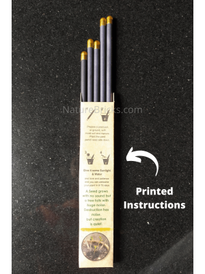 Black Color Seed Pencil With Golden Cap Premium : Pack of 5