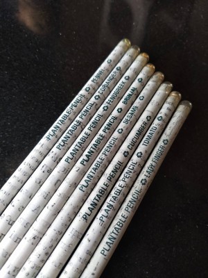 Eco Friendly Pencil With Plantable Seed Made of Newspaper