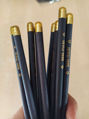 Seed Plantable Pencil With Golden Gap : Flower Seeds