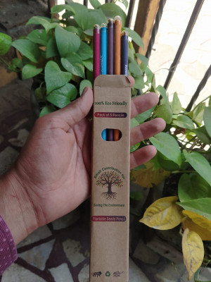 Seed Pencil Pack Of 5 Different Seeds - Black Lead