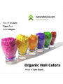 Food Grade Based Holi Colors 450gms Pack of 6 Colors