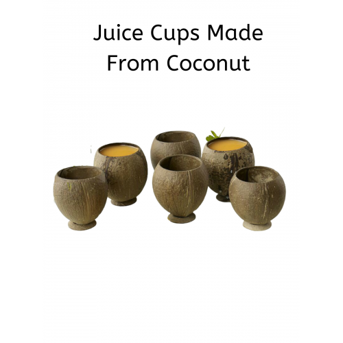 Coconut Shell Cups CS3 Eco Friendly 